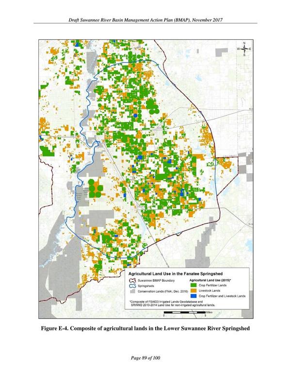 Figure E-4. Lower Suwannee River Springshed