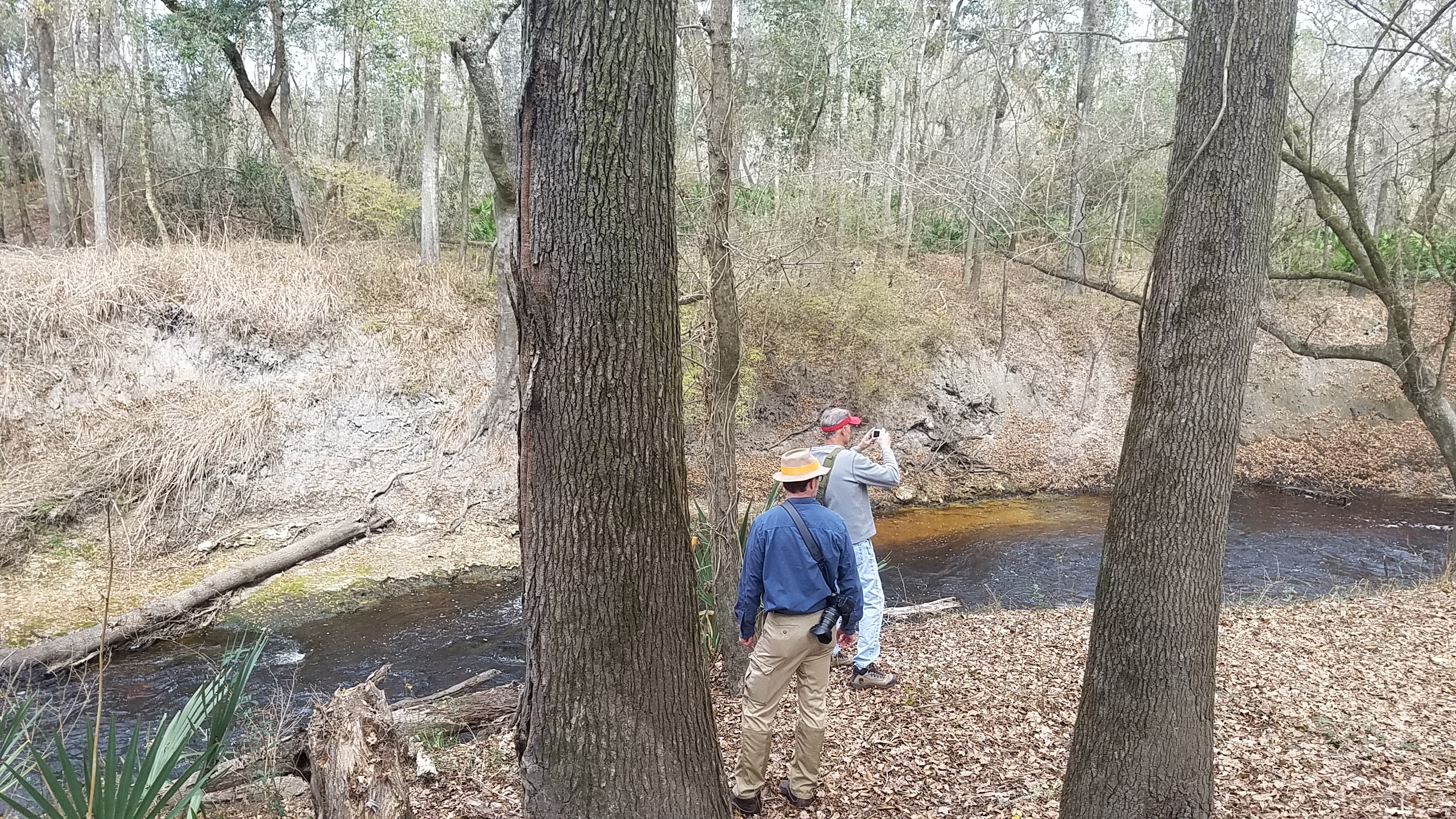 Upstream, back towards the Alapaha, 13:01:44, 30.5837753, -83.0517387