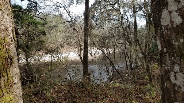 Beach on far side (left or east bank), 15:52:31, 30.4174262, -83.1561020