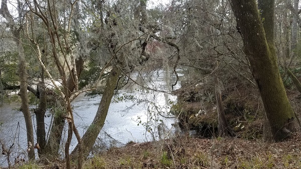 Downstream to the spring outfall, 16:41:46, 30.4177494, -83.1547851