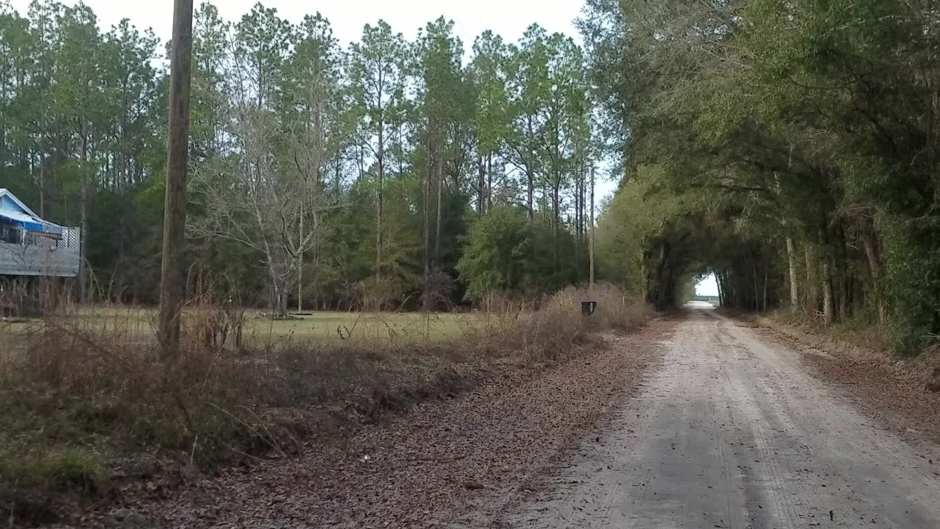 Movie: Tree tunnel, SW 39th Ave., 17:27:35, 30.4208426, -83.1805095 (52M)