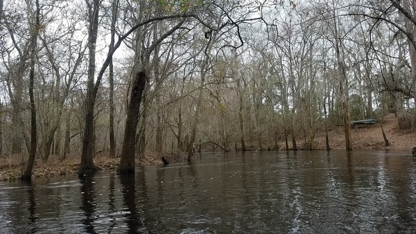 Canoe on bank, 11:19:38, 31.008510, -83.302566