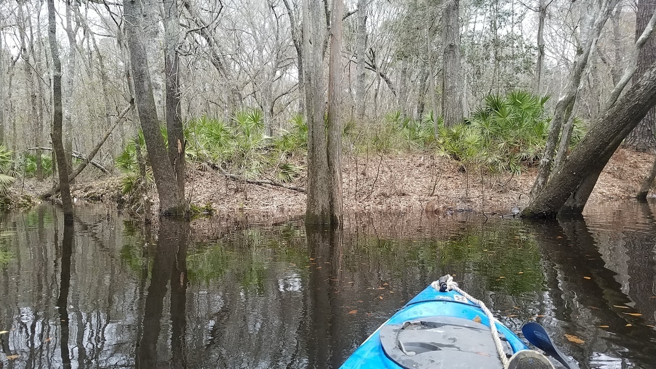 Turning downstream, 11:58:41, 31.0017836, -83.2898326