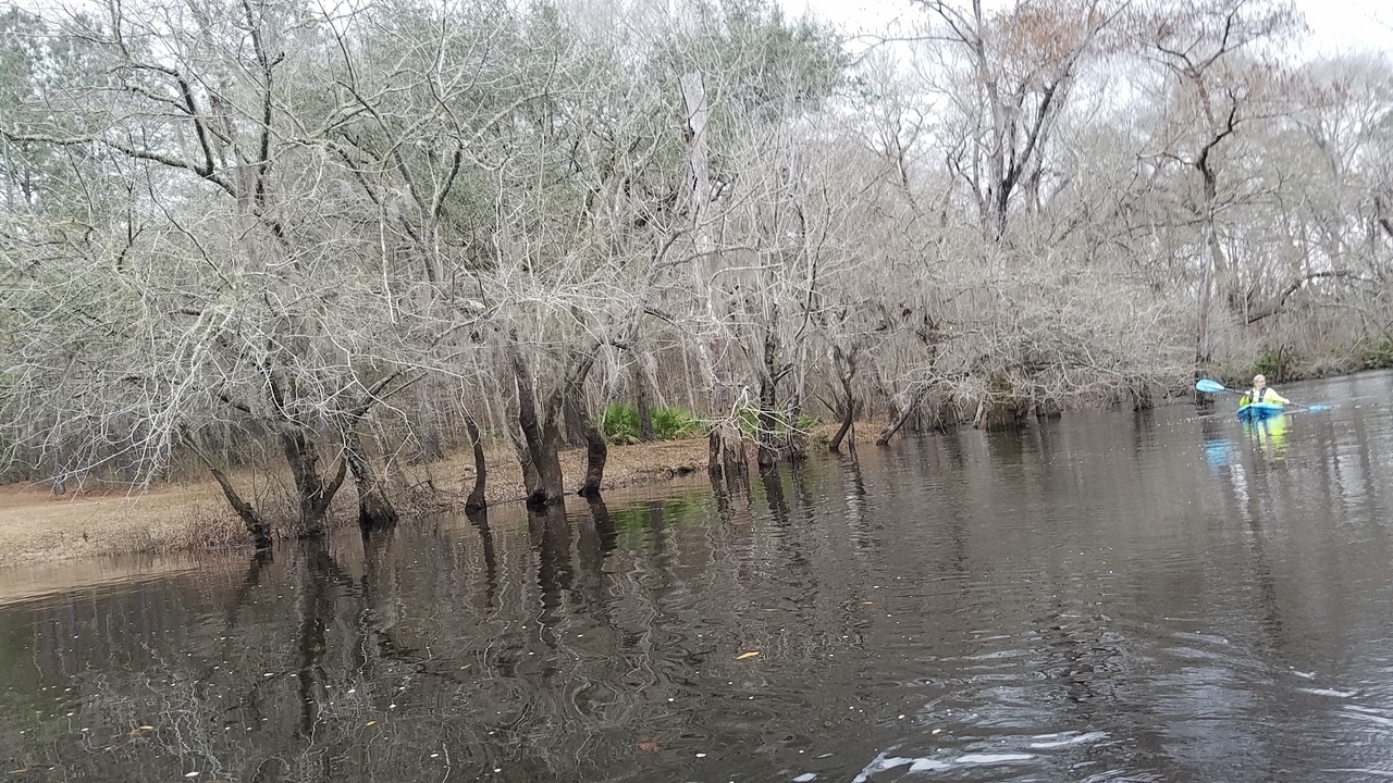 Gretchen upstream, 12:04:22, 30.9981449, -83.2891101