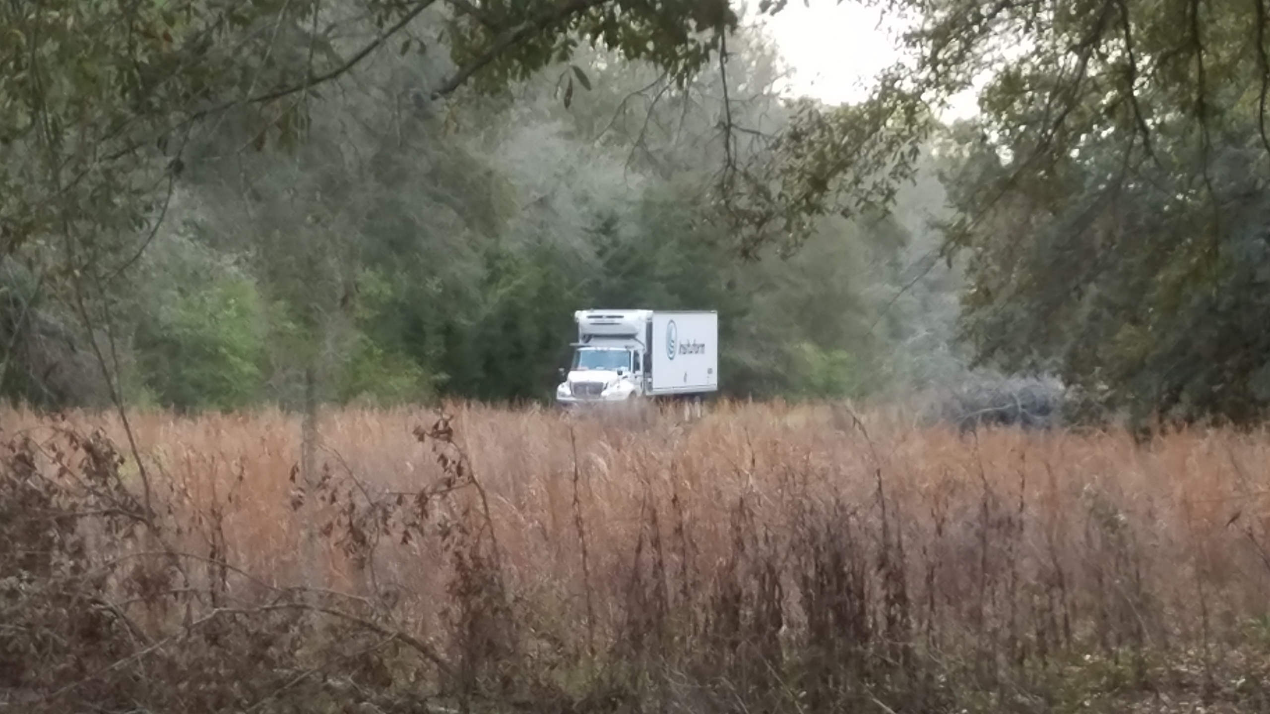 Truck, framed, 18:07:28, 30.0703047, -83.0359969