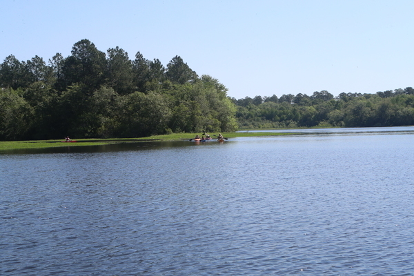 Flock of paddlers