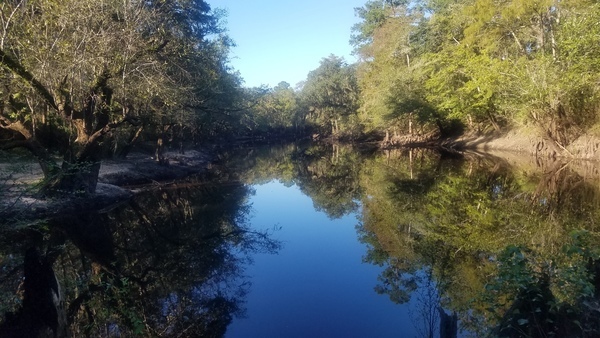 Withlacoochee River downstream, 09:37:31, 30.8471158, -83.3475094