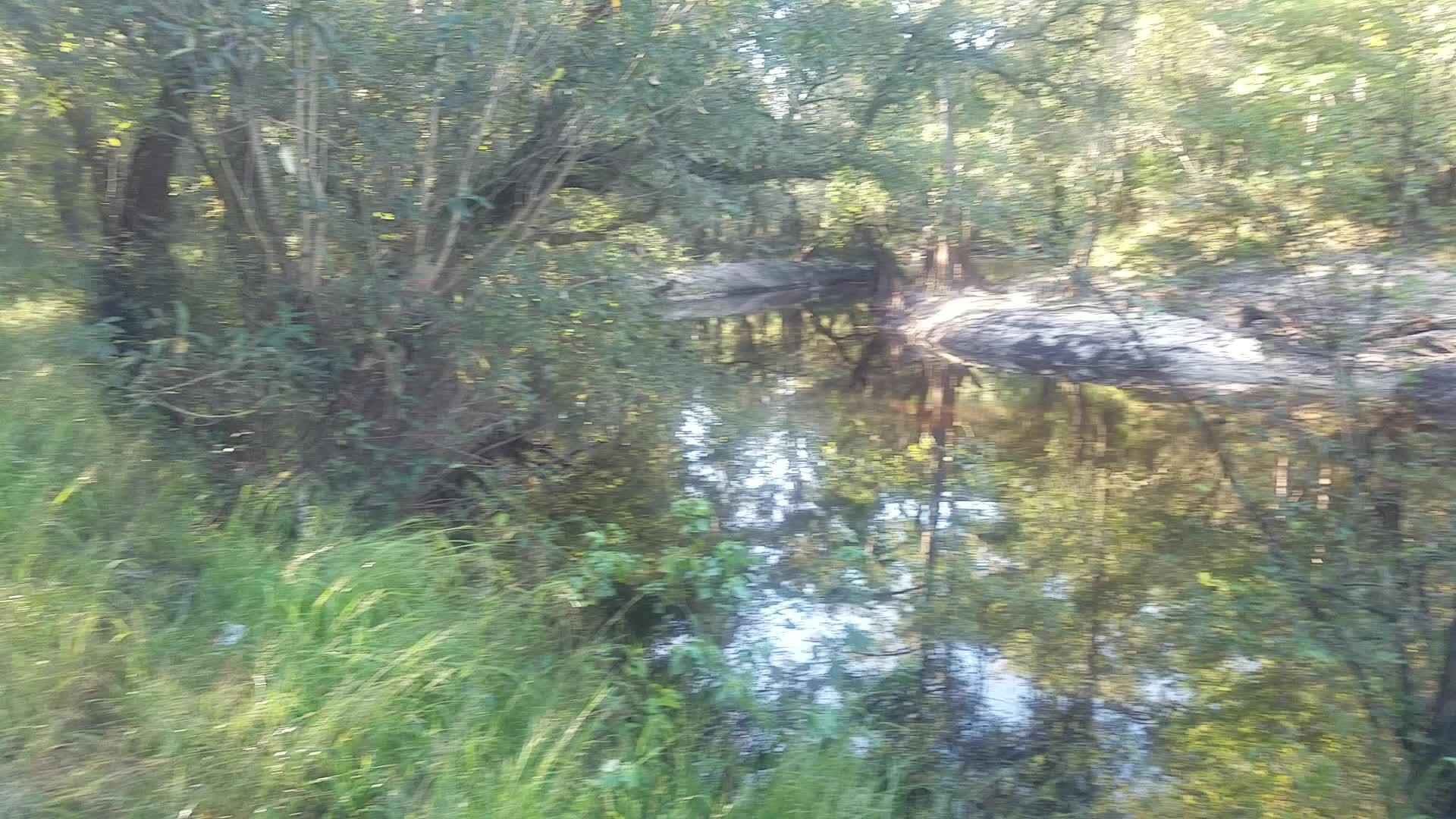 Movie: Withlacoochee and Little Rivers, 09:58:13, 30.8471157, -83.3475095 (33M)