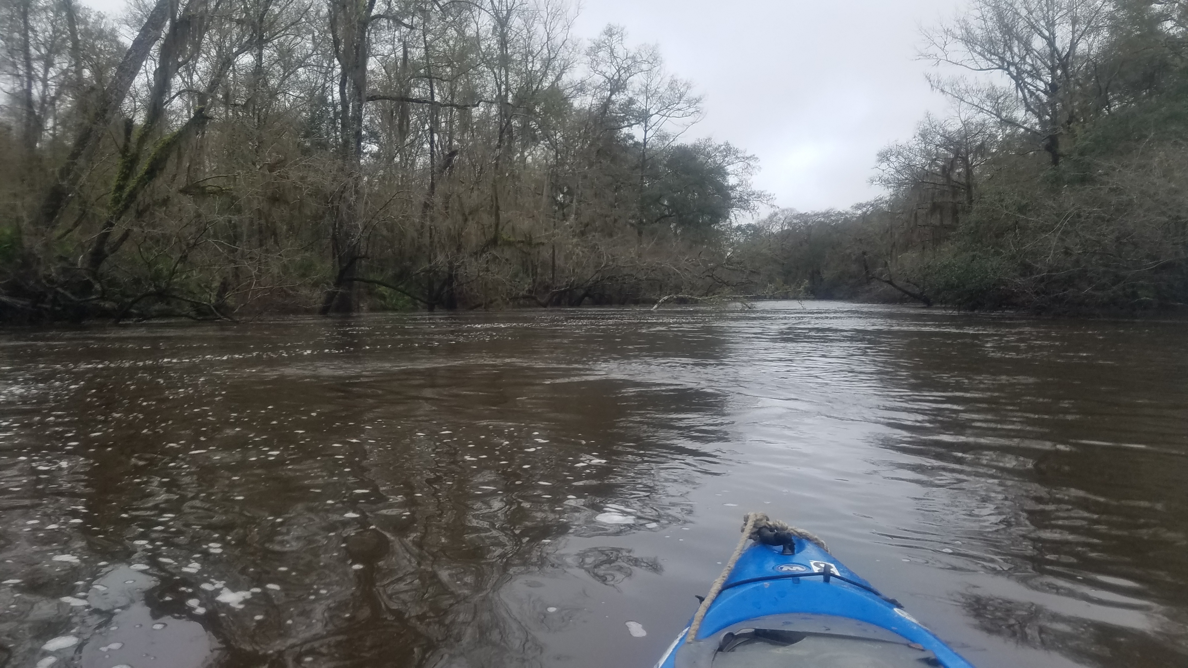 Limbs across river, 11:59:05, 30.8306668, -83.3792700