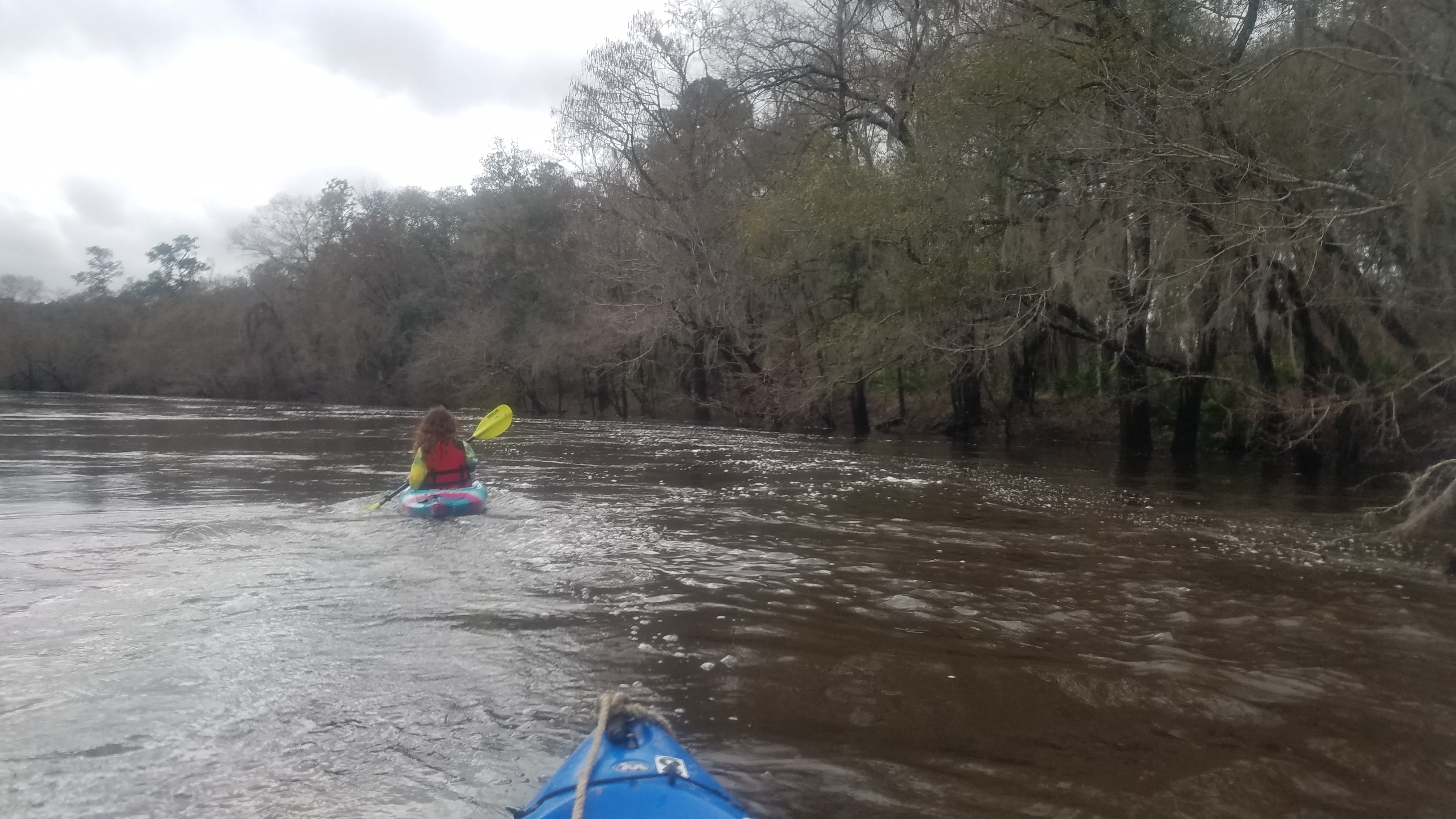 Paddling along, 14:29:16, 30.7958040, -83.4523207