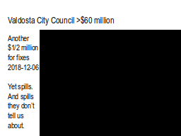 Valdosta City Council >$60 million