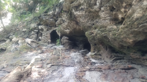 [Karst caves, 13:10:49, 30.4589827, -82.6775425]