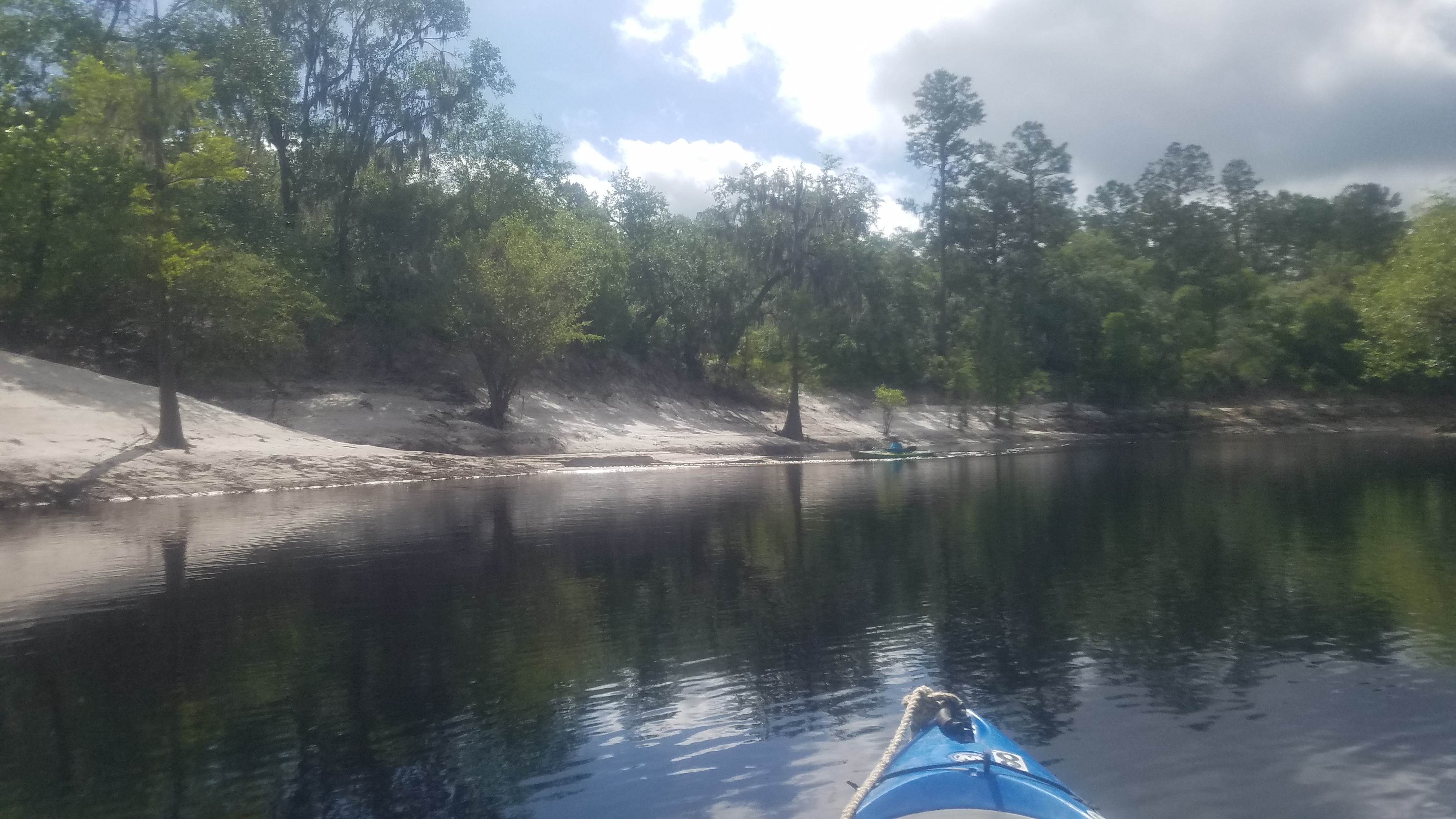 Bay Creek, left bank, 10:29:46, 30.4953053, -82.7056433