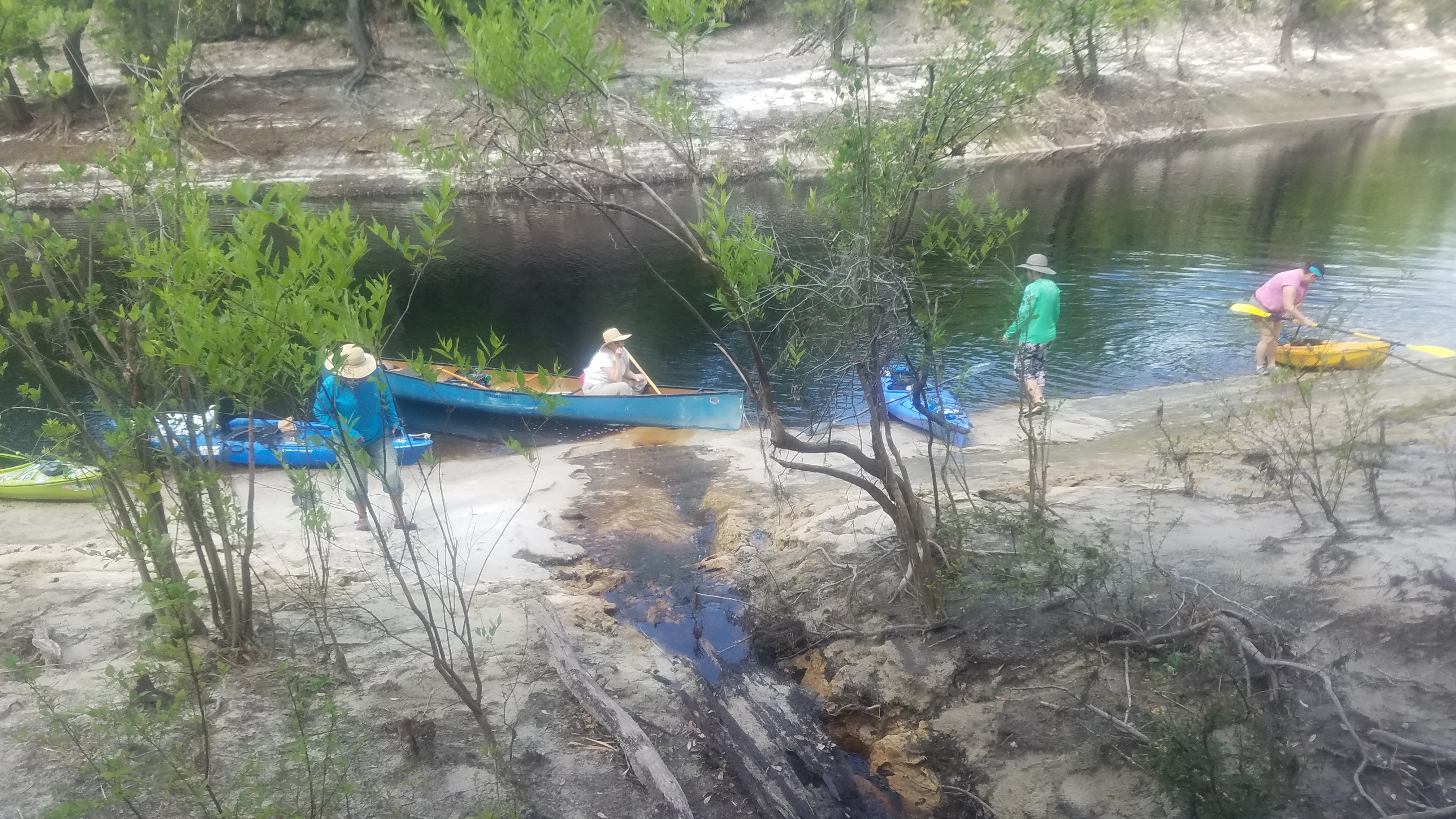 Down Marsh Cp Road Branch to the Suwannee River, 10:51:00, 30.4898400, -82.6967174