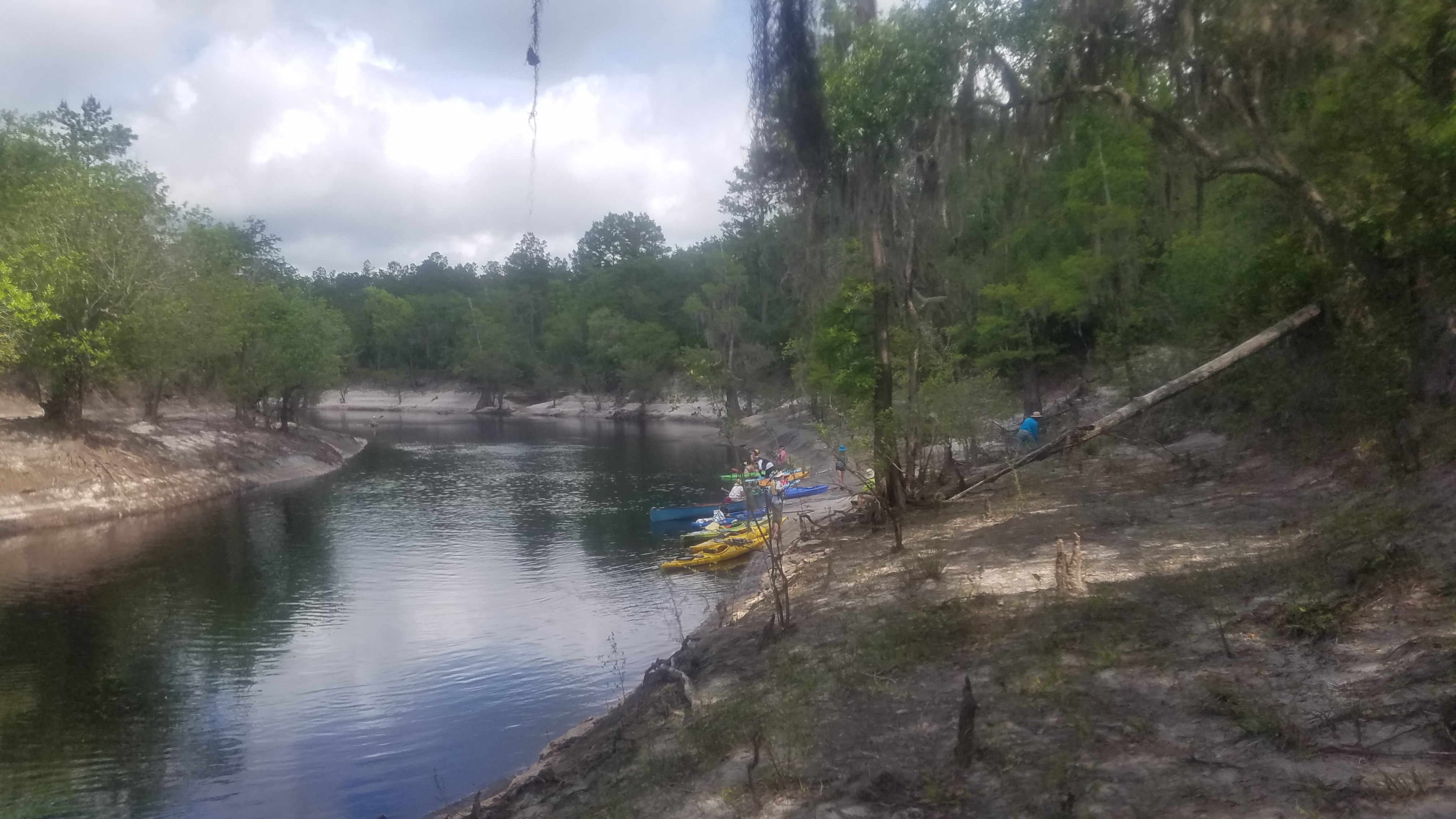 Looking upstream, Suwannee River, to Marsh Cp Road Branch, 10:52:48, 30.489700, -82.6966