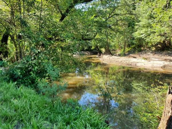 Upstream, Withlacoochee River, 10:48:35, 30.846869, -83.347516