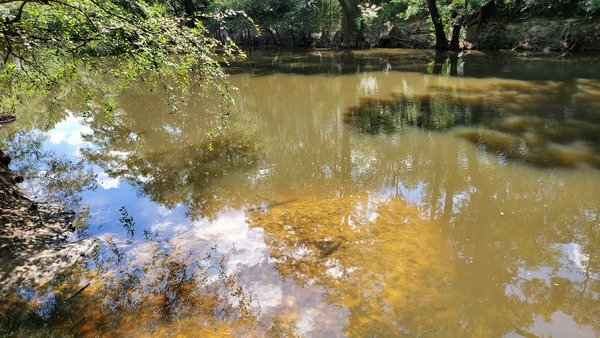 Downstream, Withlacoochee River, 16:08:48, 30.816043, -83.424953