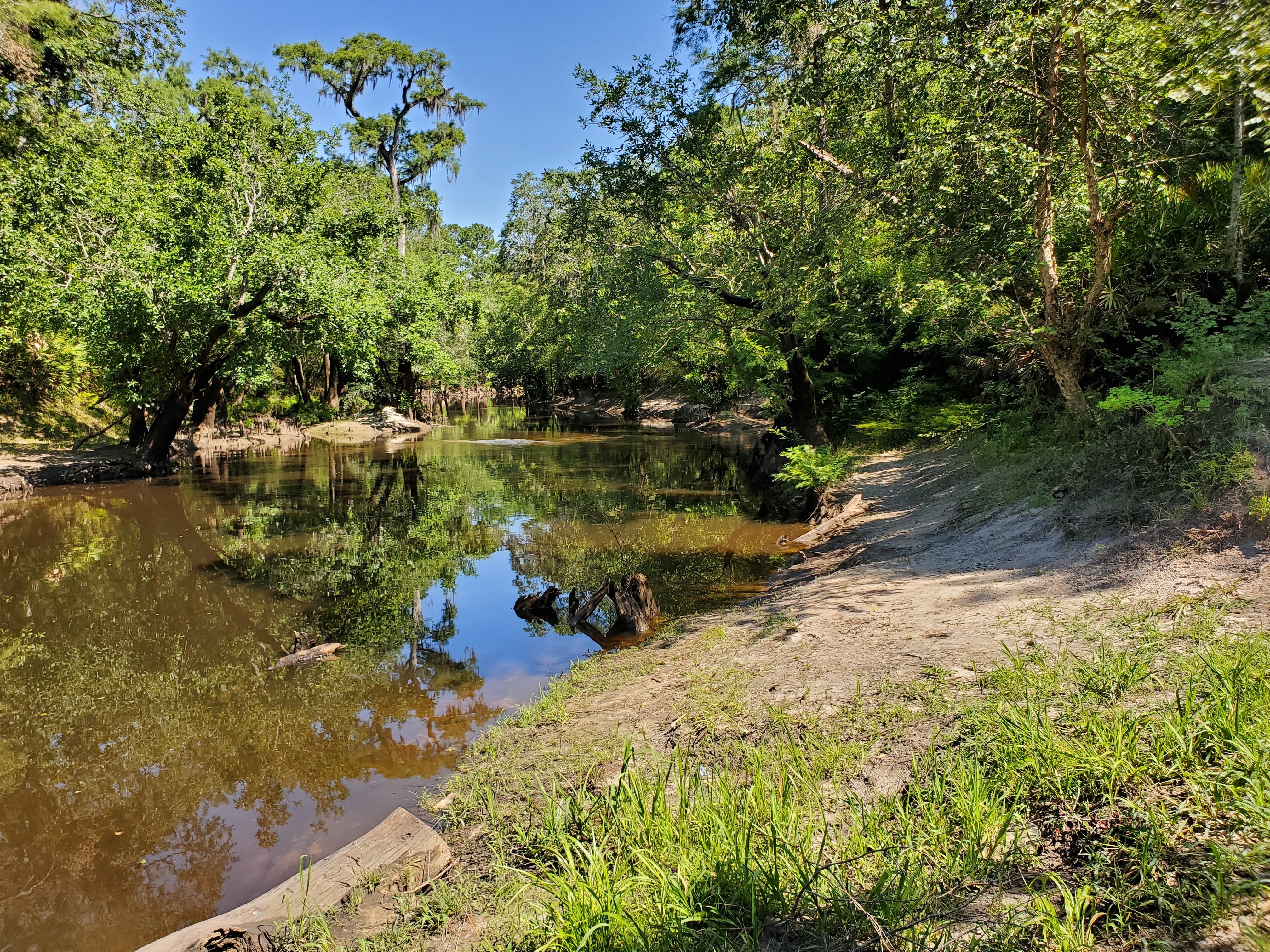 Upstream, Little River, 10:49:13, 30.847342, -83.347697