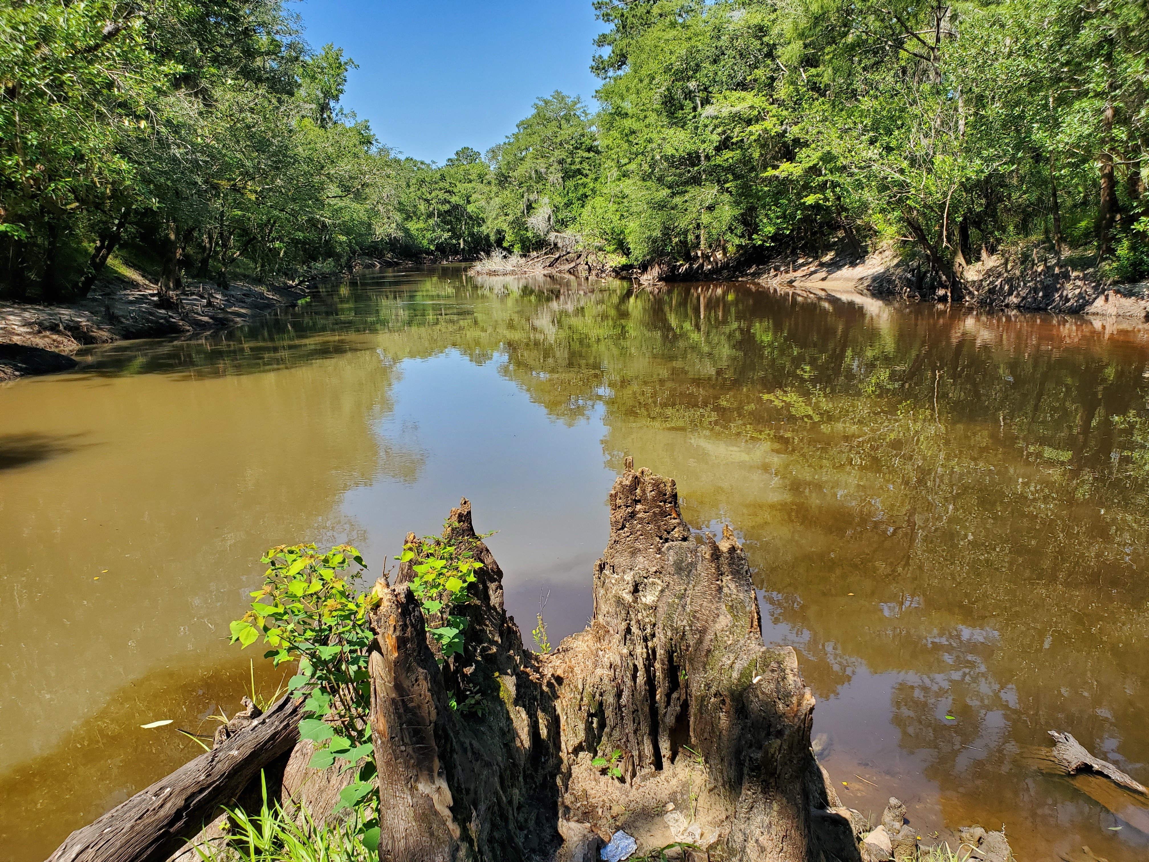 And confluence, 10:50:52, 30.847098, -83.347527