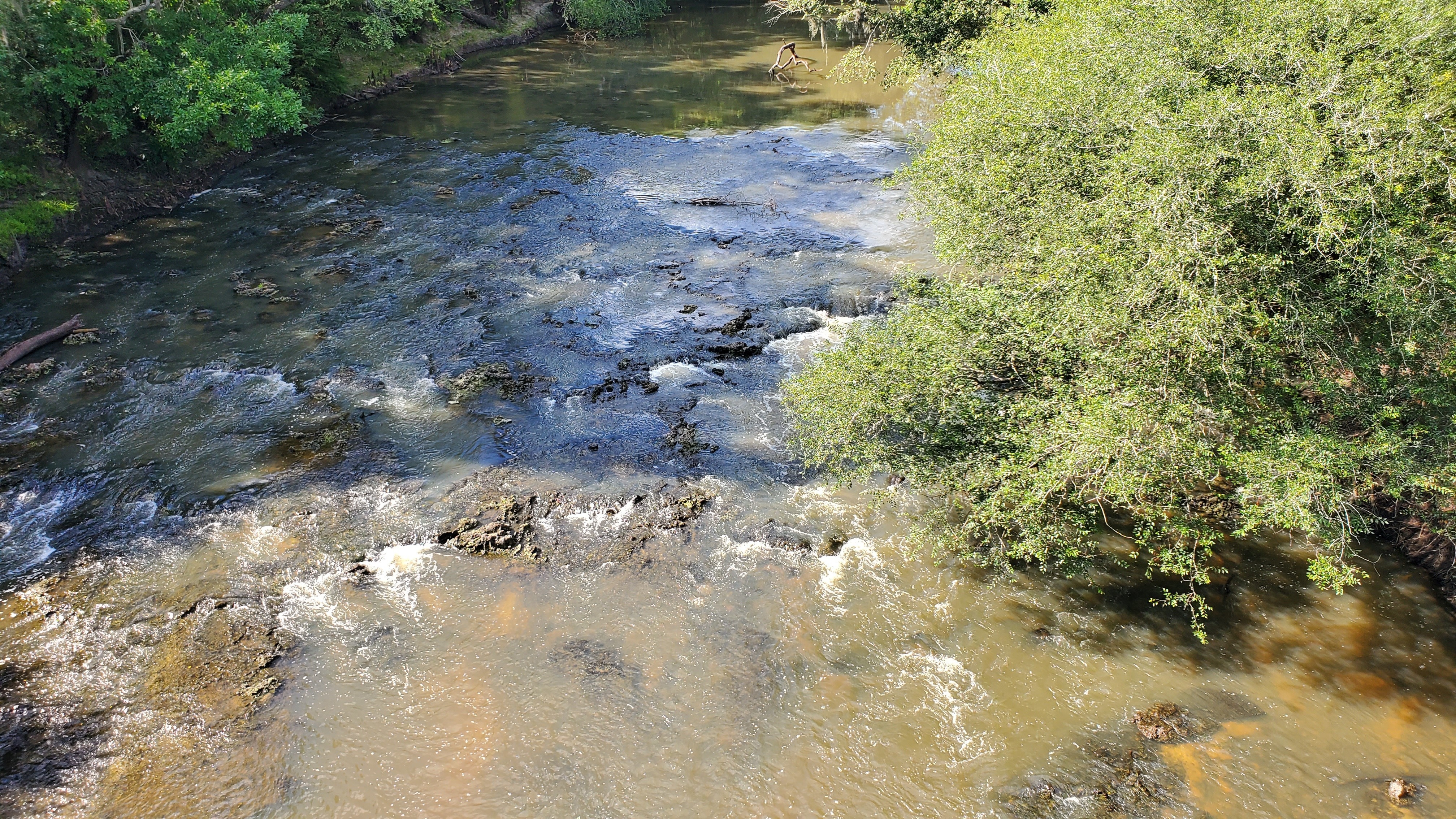 Rapids above, 17:27:15, 30.793779, -83.453383