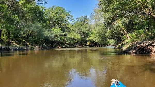 Downstream of Loch-Winn Branch, 11:11:09, 30.8416297, -83.3509144