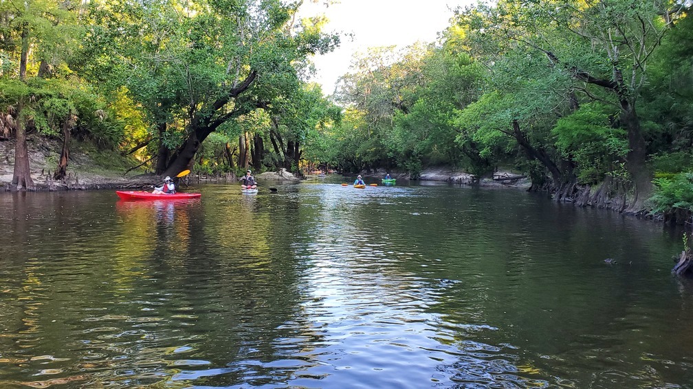 Upstream on the Little River, 08:06:01, 30.8472, -83.3476121