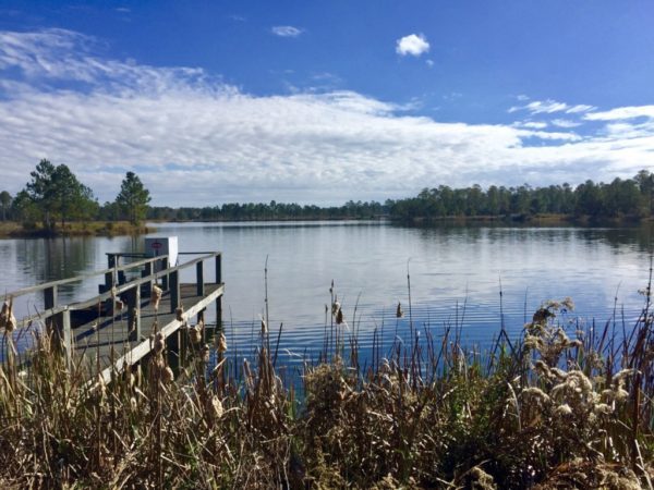 Dock at lake