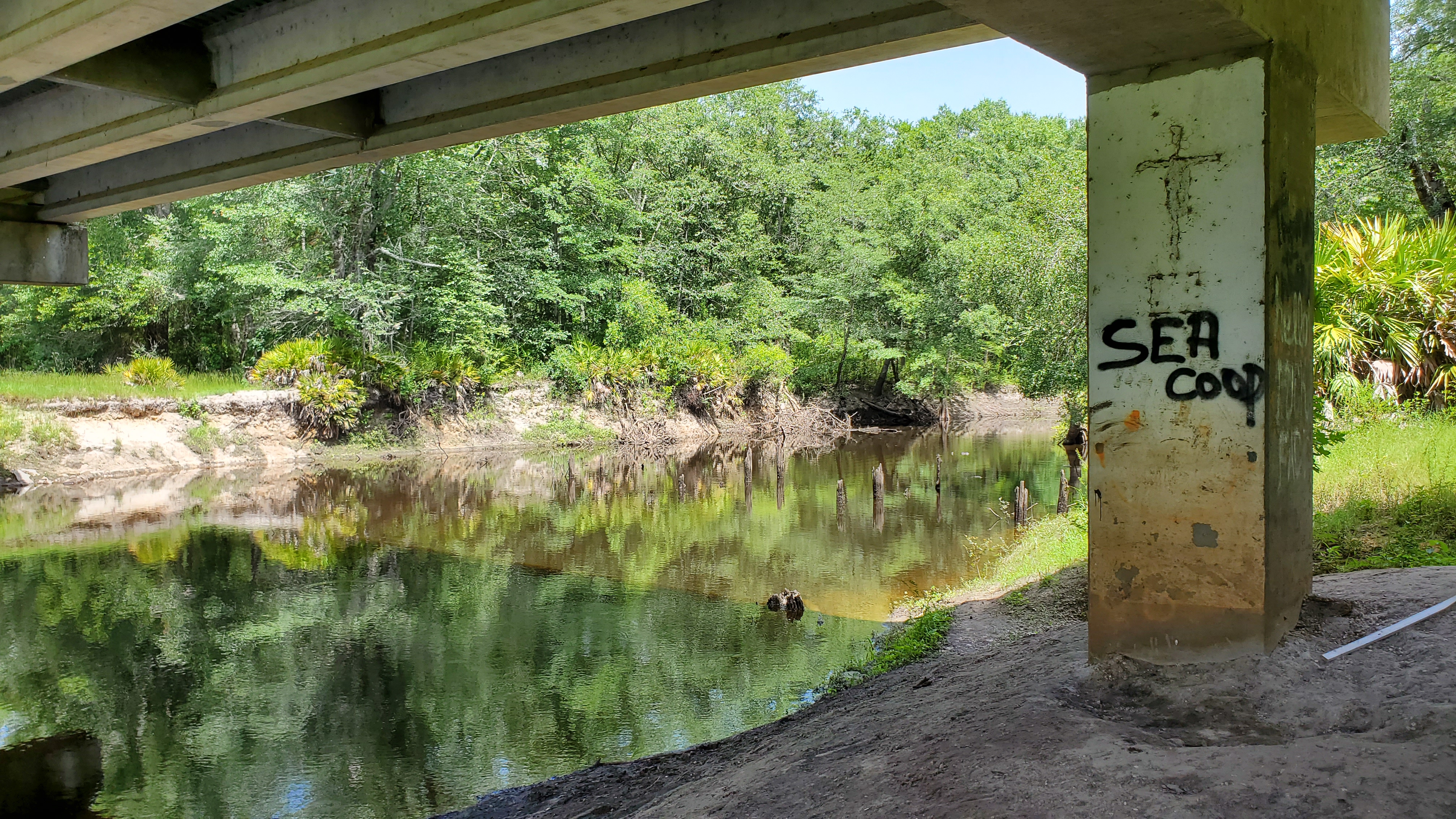 Wooden piers visible under new bridge