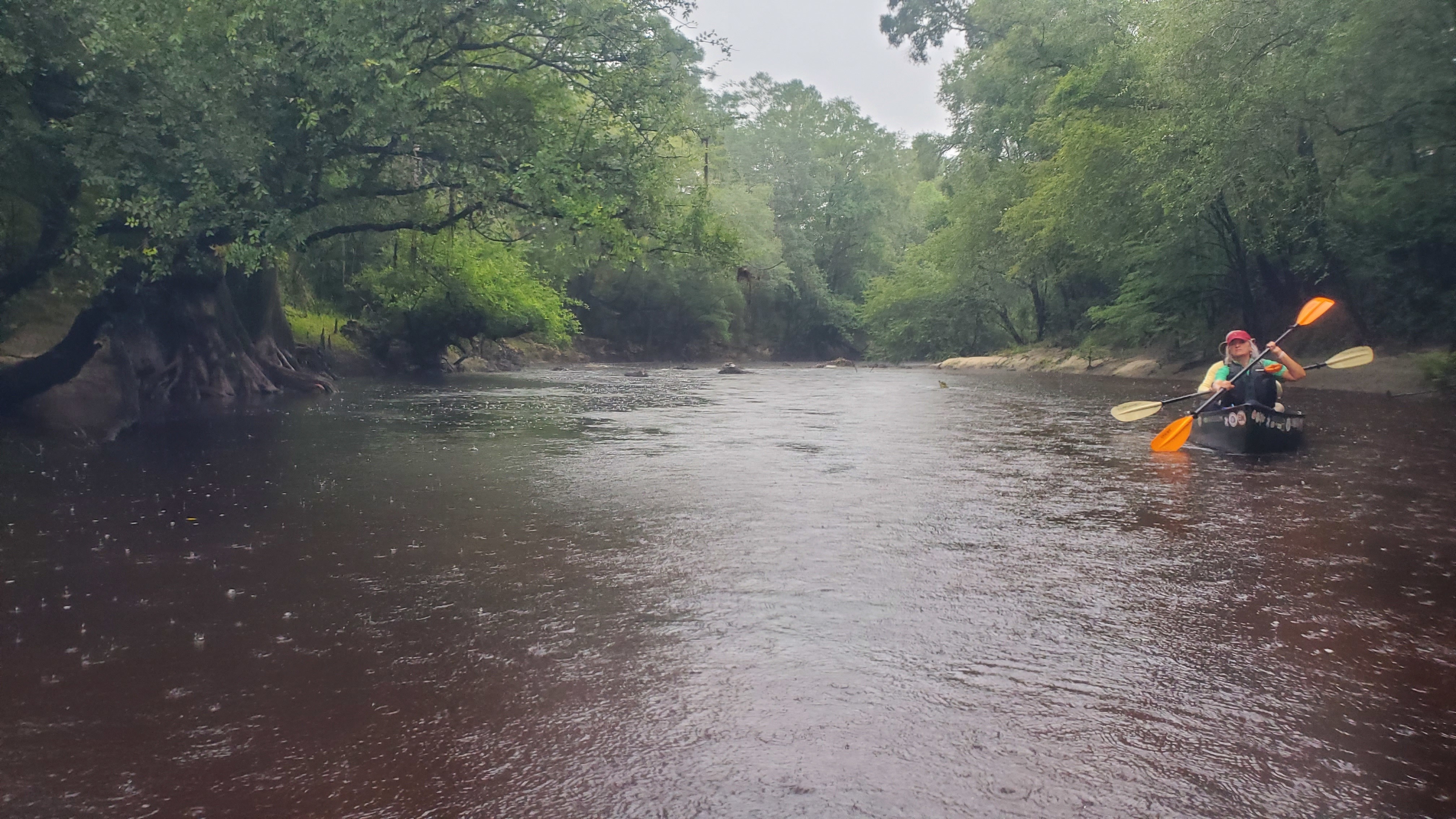 Coles crossed paddles, 10:54:35, 30.6940508, -83.0464391