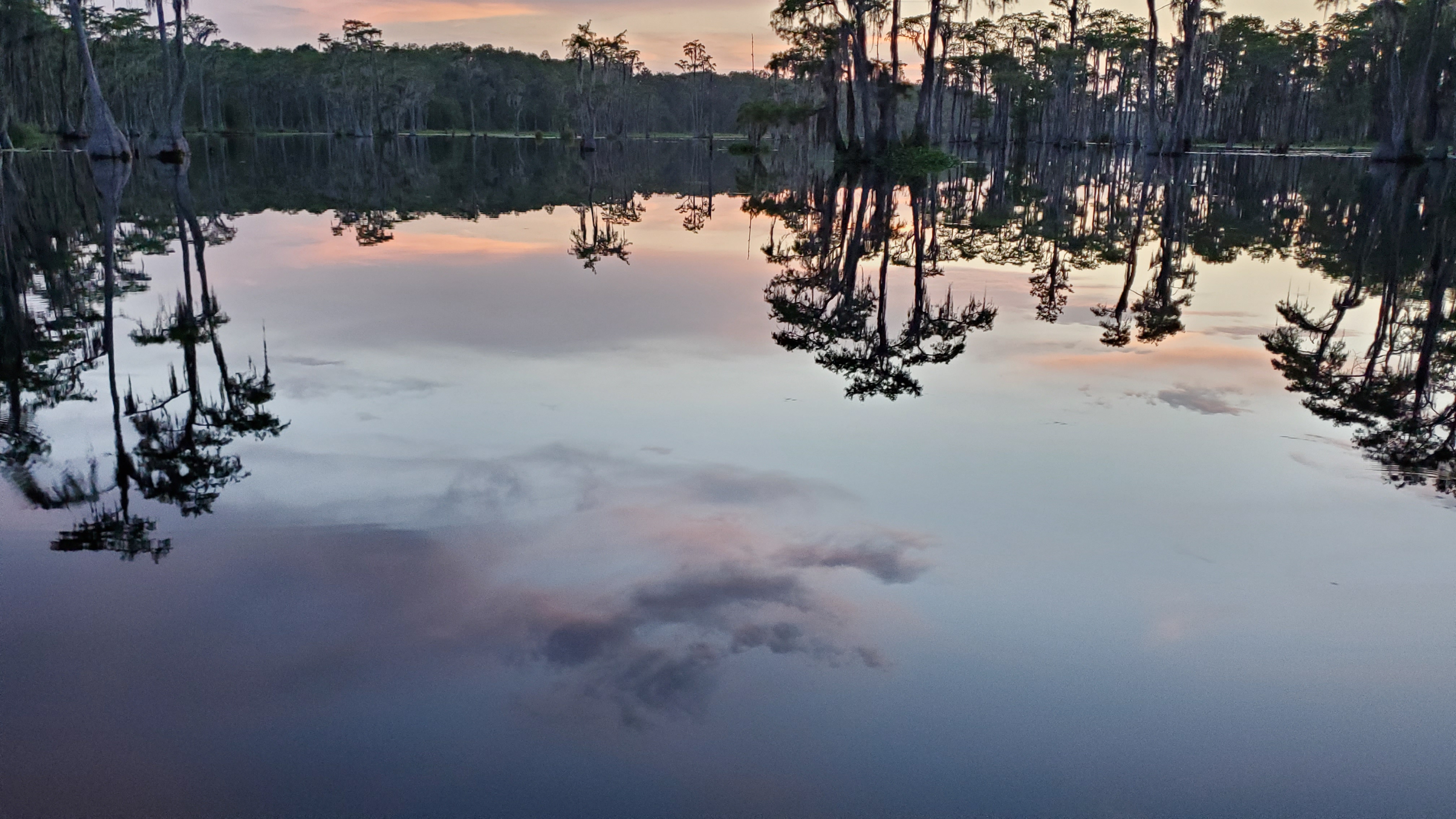 Sky reflected