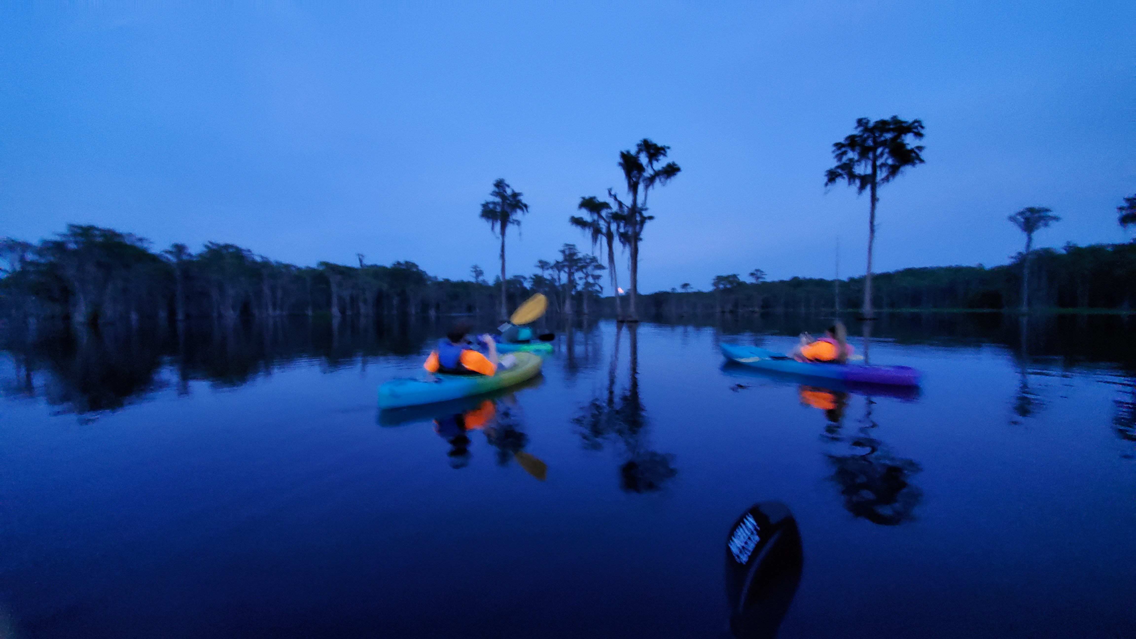 Moon paddlers