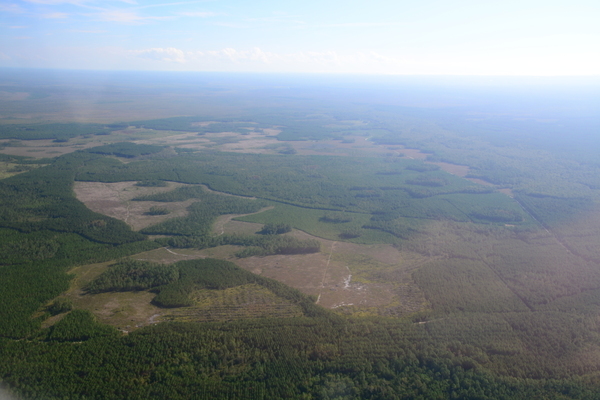 Top center to right center: Suwannee River