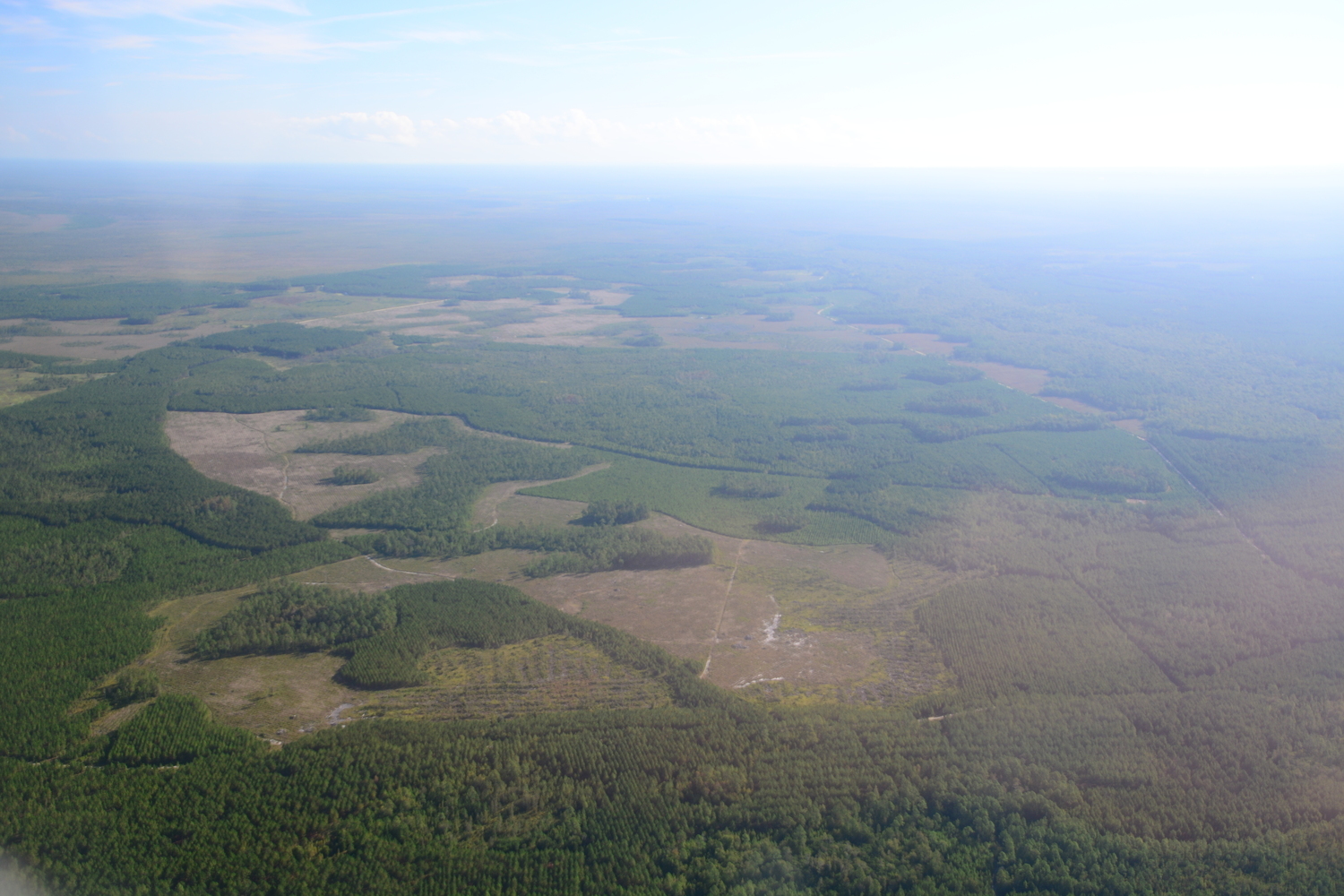 Across bottom: Alligator Creek