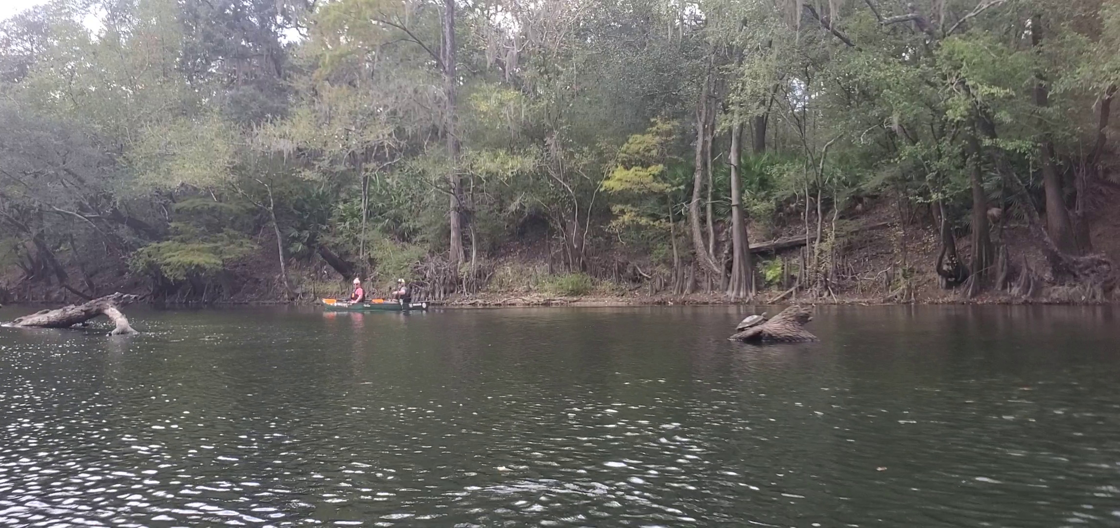 More paddling than racing, plus turtle