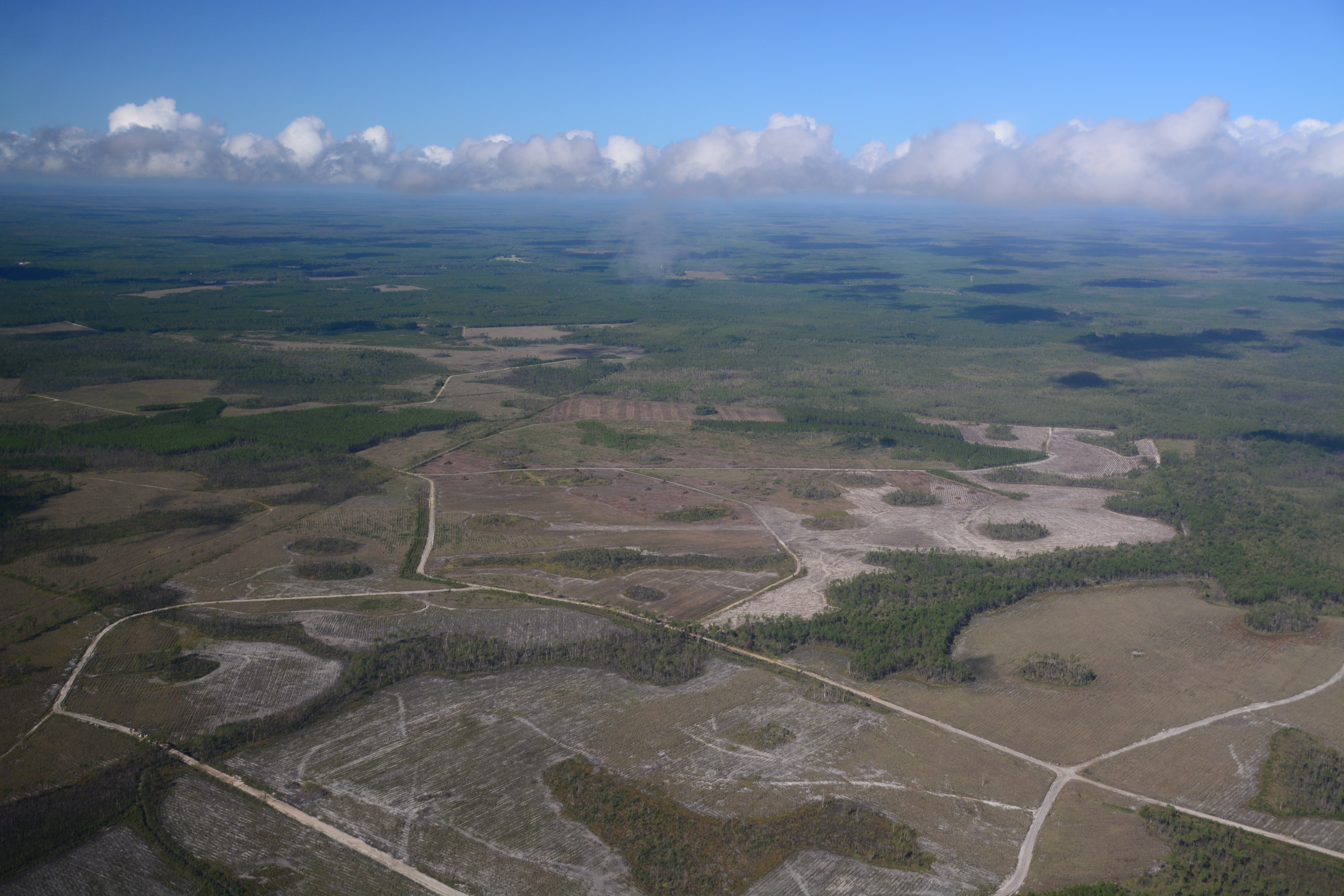 River Styx & Okefenokee NWR --Wayne Morgan 2019-10-05