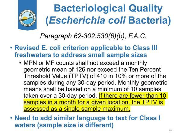 (Escherichia coli Bacteria)