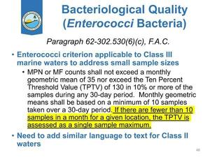 [(Enterococci Bacteria)]