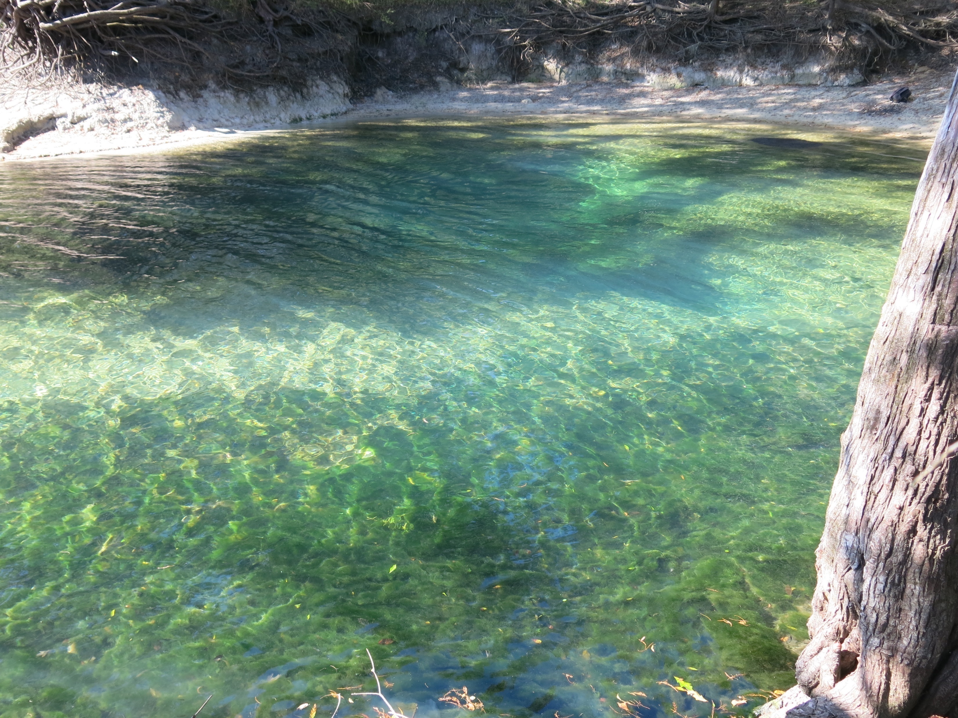 Green spring water