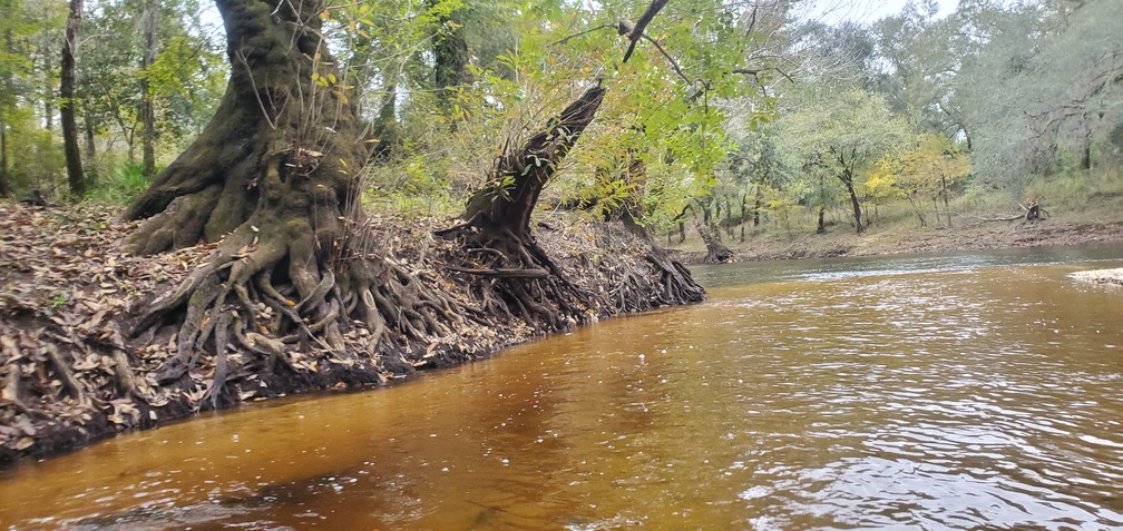 Down the creek to the River, 14:14:48, 30.6539368, -83.3625671