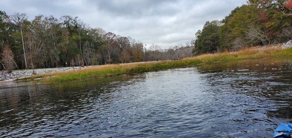 View along the east (upstream) side of the Sill, 09:50:35, 30.8041139, -82.4175016