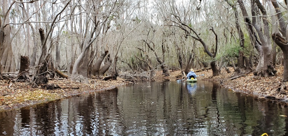 Dan leading the way, 10:09:45, 30.8066703, -82.4187932