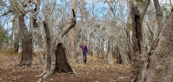 [Gretchen and a cypress on the bank, 10:55:53, 30.8012606, -82.4225956]