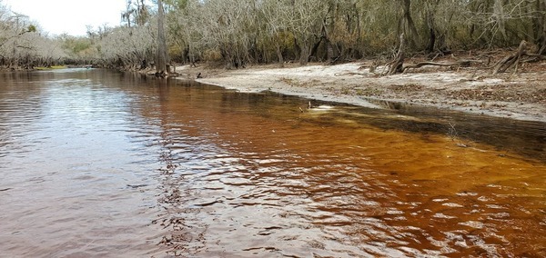 Yellow and red water, 11:21:17, 30.7970167, -82.4293755