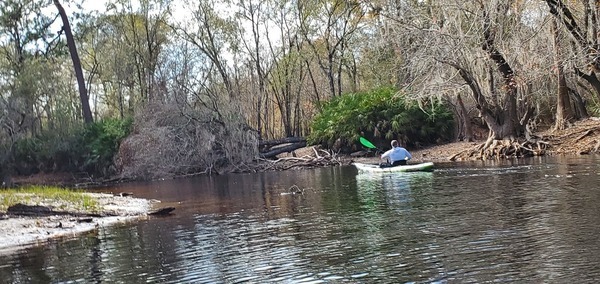 Left bend with deadfall, 11:56:03, 30.7887384, -82.4450926