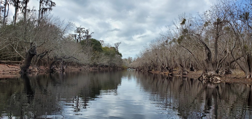 Straight river, 10:50:30, 30.8021850, -82.4214042