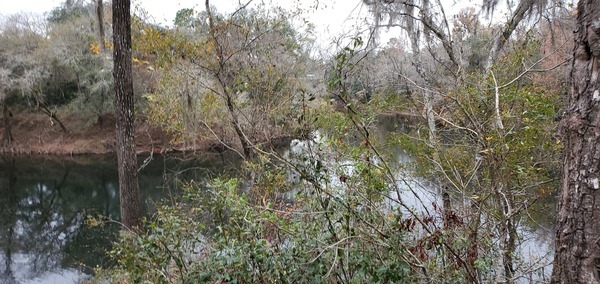 Horn Bridge in distance