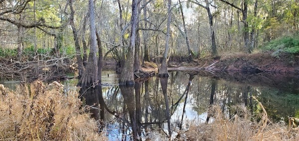 Target across river, 15:20:49