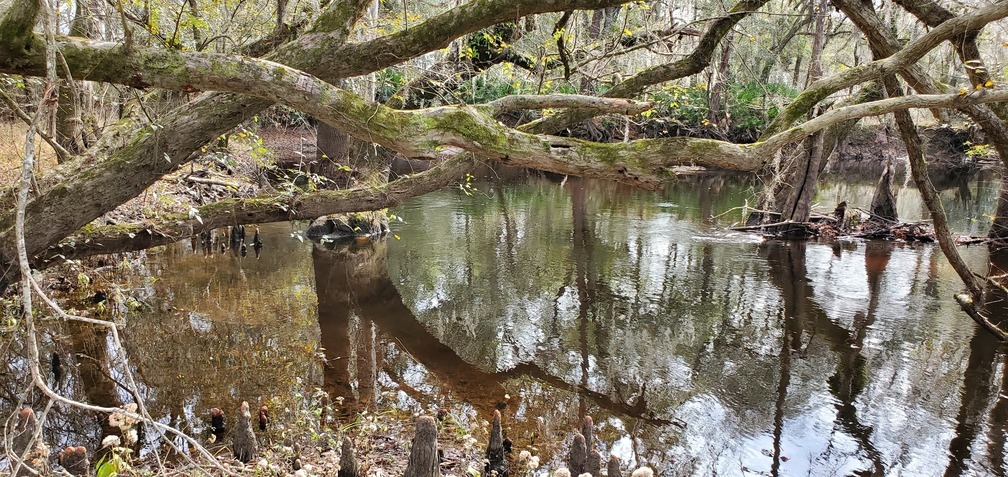 Below the mossy oak, 12:46:35