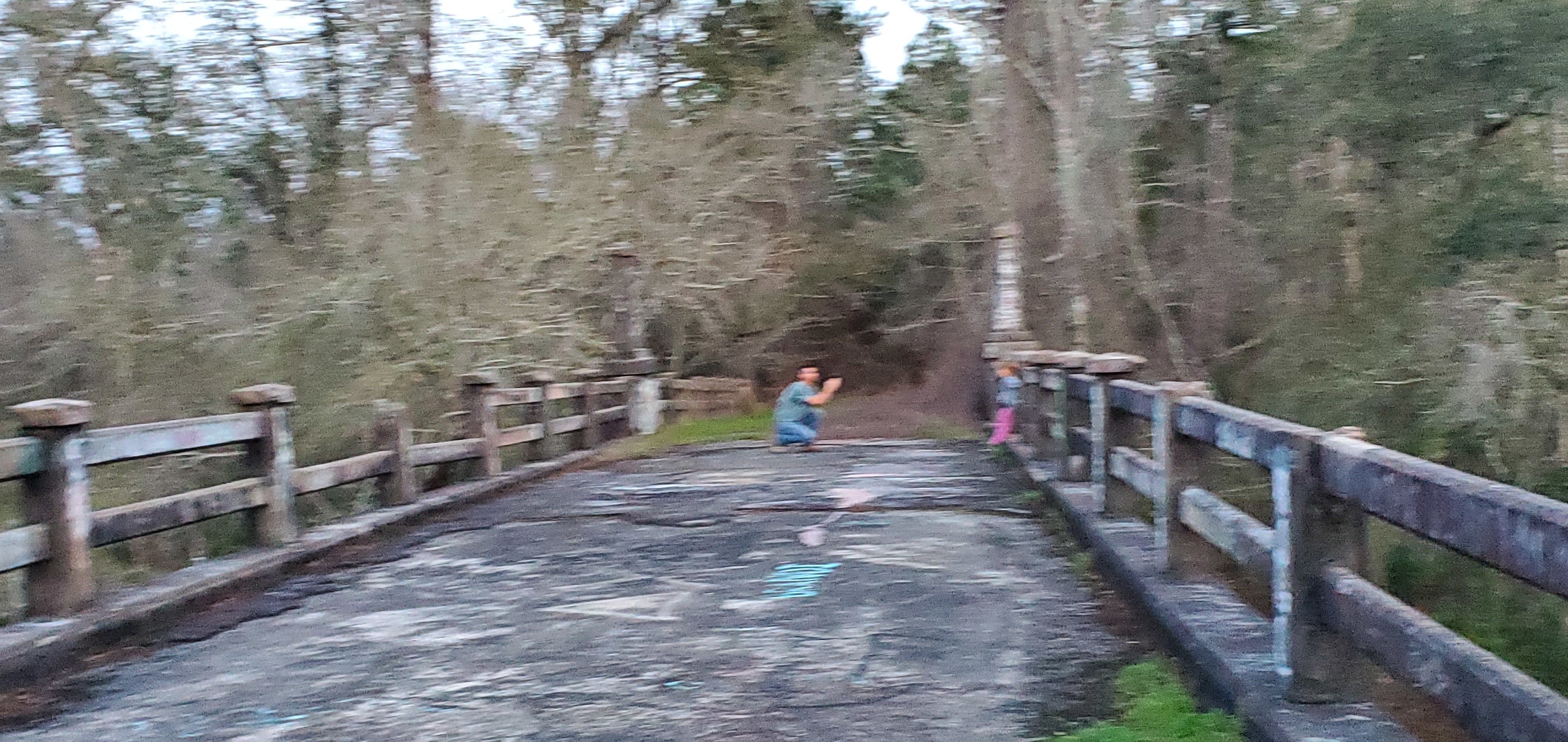 Family on bridge