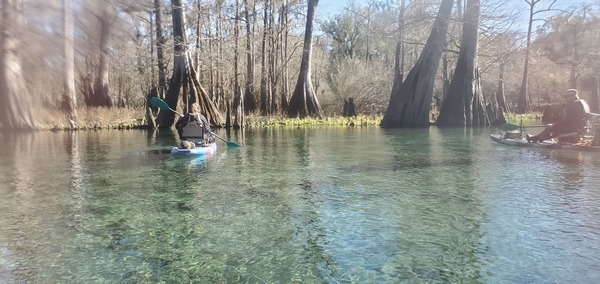 Manatee between boats, 14:05:42, 29.9327060, -82.8000878